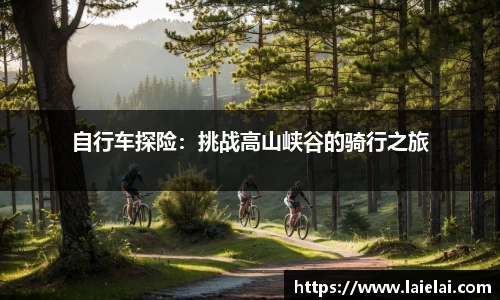 博鱼boyu官方网站